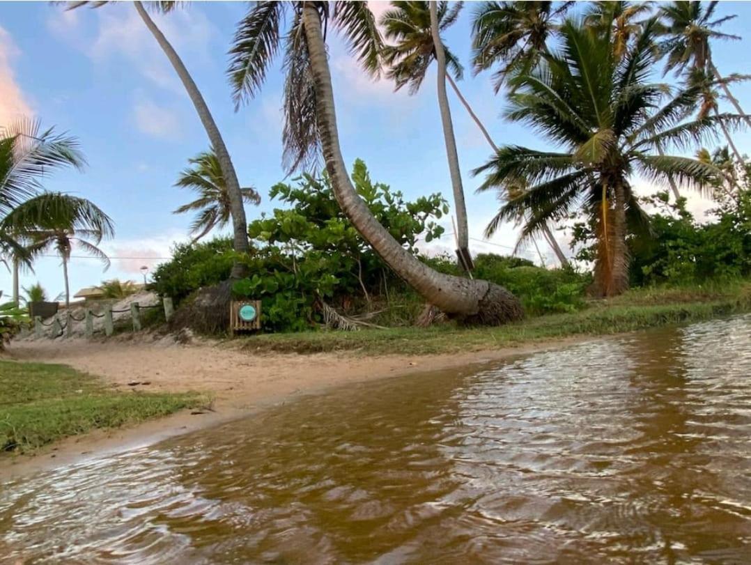 Maravilhoso Garden Imbassai Pe Na Areia Bahia Litoral Leilighet Eksteriør bilde